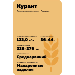 КУРАНТ