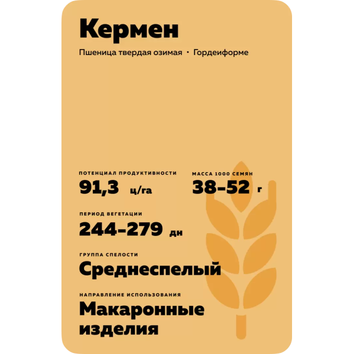 КЕРМЕН