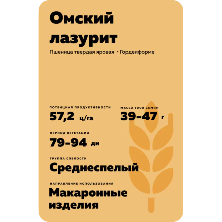 ОМСКИЙ ЛАЗУРИТ