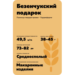 БЕЗЕНЧУКСКИЙ ПОДАРОК