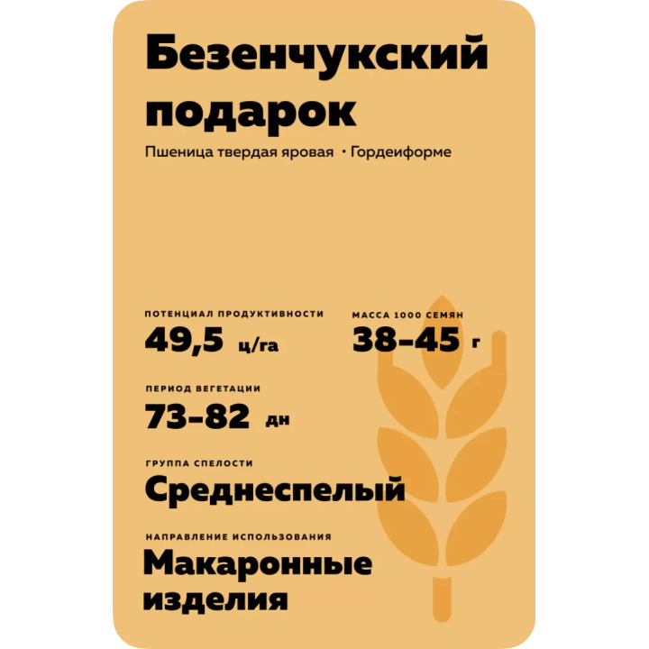 БЕЗЕНЧУКСКИЙ ПОДАРОК