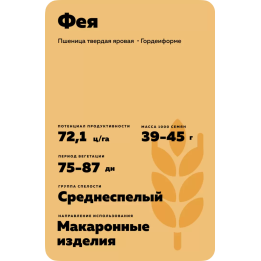 ФЕЯ