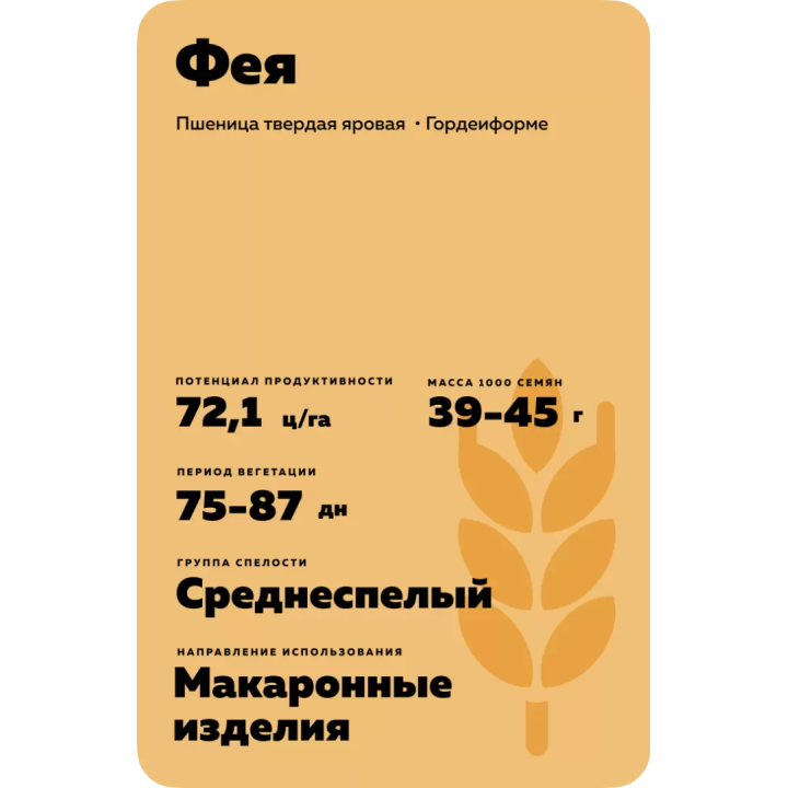 ФЕЯ