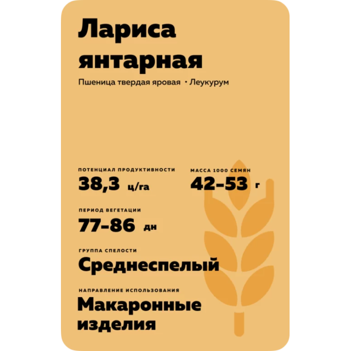 ЛАРИСА ЯНТАРНАЯ