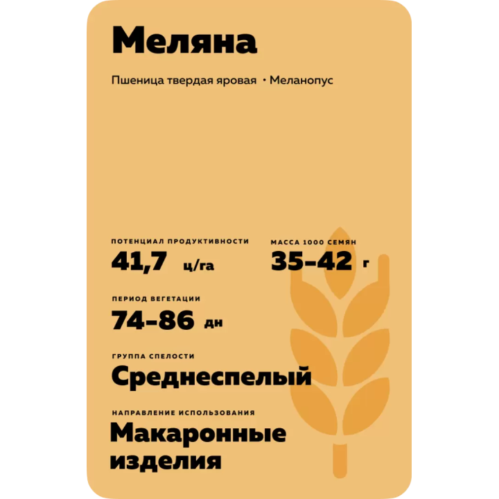 МЕЛЯНА