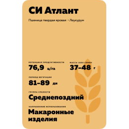 СИ АТЛАНТ
