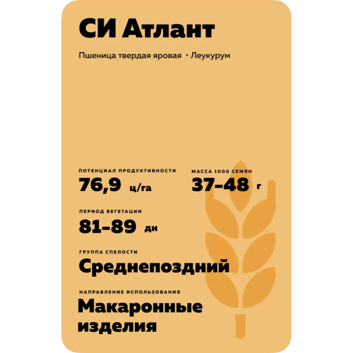 СИ АТЛАНТ
