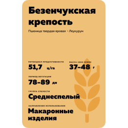 БЕЗЕНЧУКСКАЯ КРЕПОСТЬ