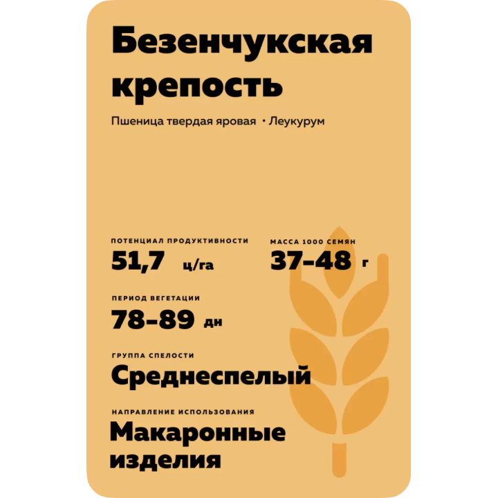 БЕЗЕНЧУКСКАЯ КРЕПОСТЬ