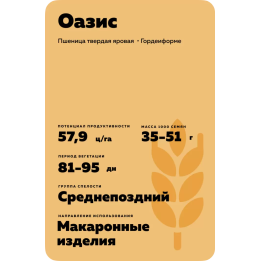 ОАЗИС
