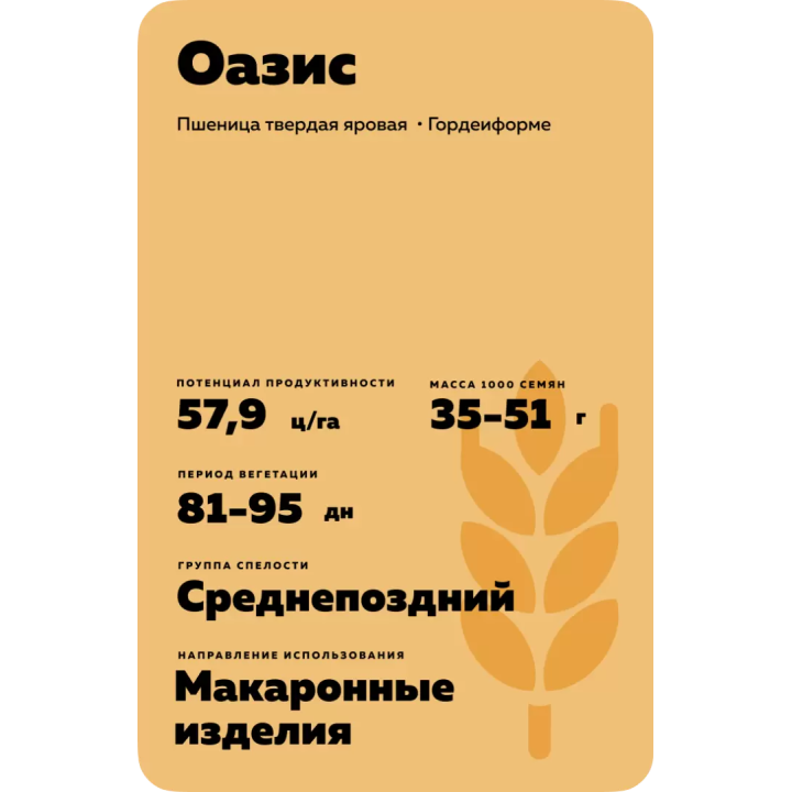 ОАЗИС