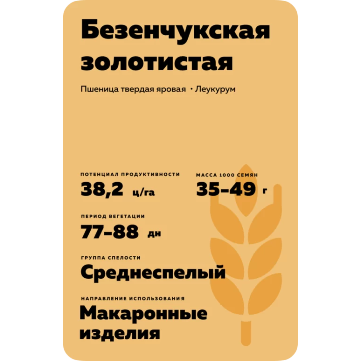 БЕЗЕНЧУКСКАЯ ЗОЛОТИСТАЯ