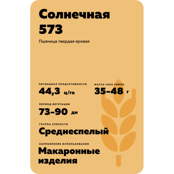 СОЛНЕЧНАЯ 573