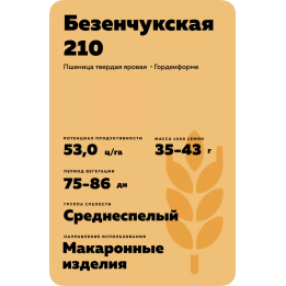 БЕЗЕНЧУКСКАЯ 210