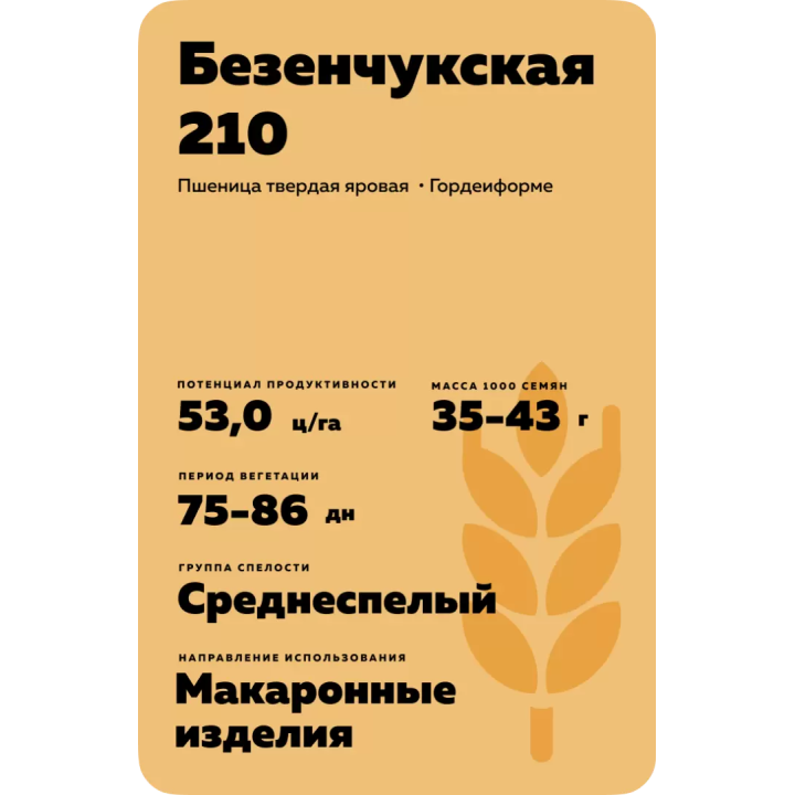 БЕЗЕНЧУКСКАЯ 210
