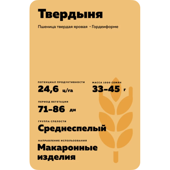 ТВЕРДЫНЯ