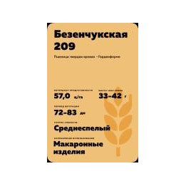 БЕЗЕНЧУКСКАЯ 209