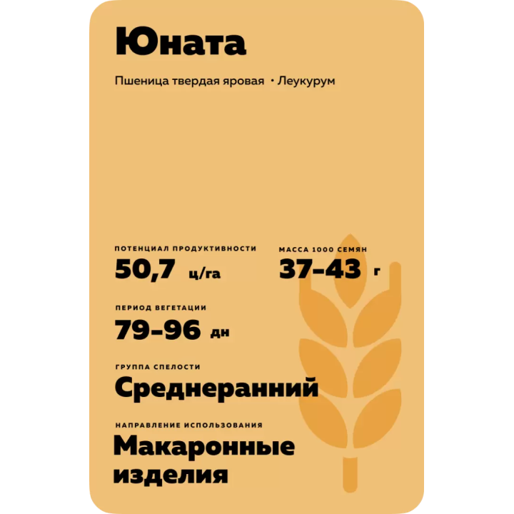ЮНАТА