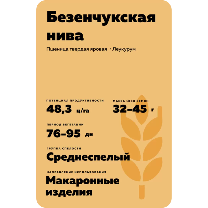 БЕЗЕНЧУКСКАЯ НИВА