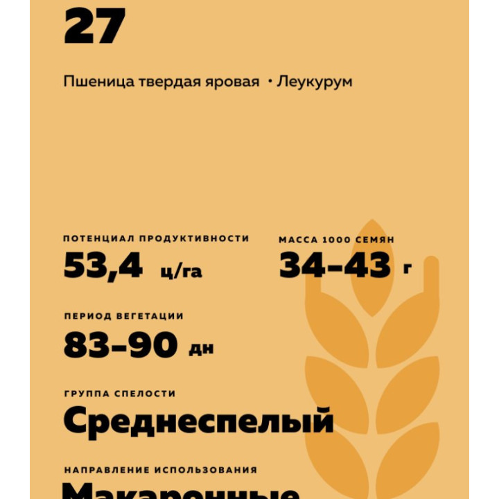 БАШКИРСКАЯ 27