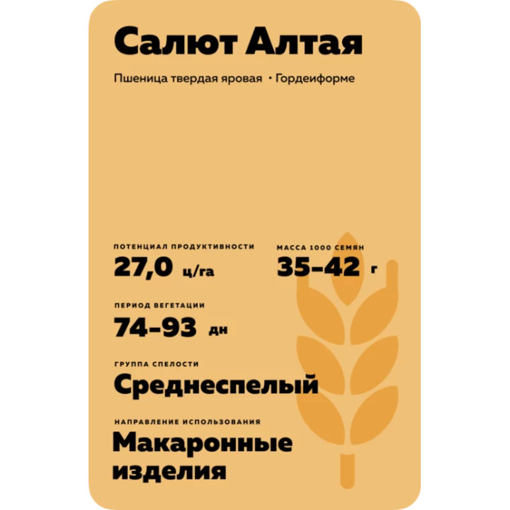 САЛЮТ АЛТАЯ