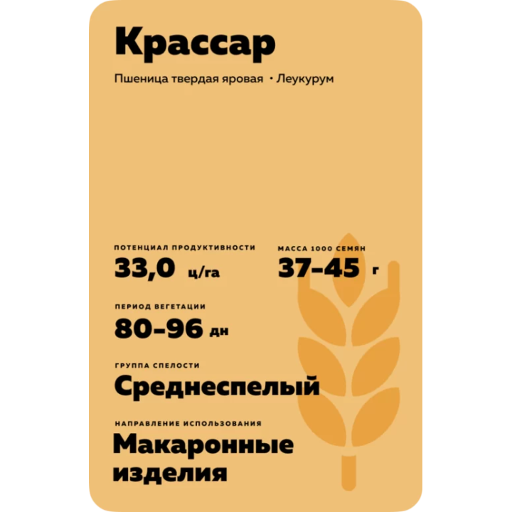 КРАССАР
