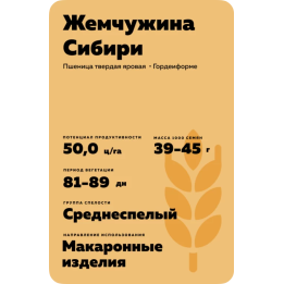 ЖЕМЧУЖИНА СИБИРИ