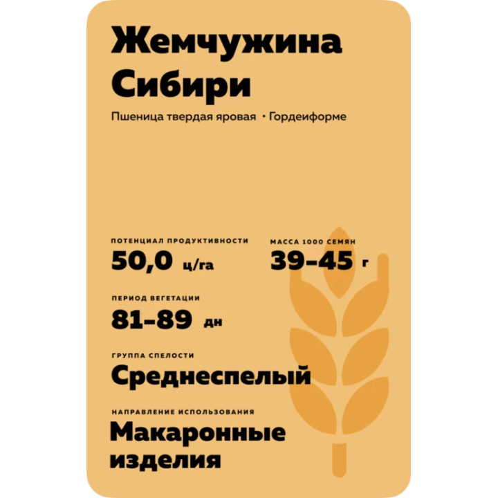 ЖЕМЧУЖИНА СИБИРИ