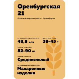 ОРЕНБУРГСКАЯ 21