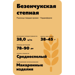 БЕЗЕНЧУКСКАЯ СТЕПНАЯ