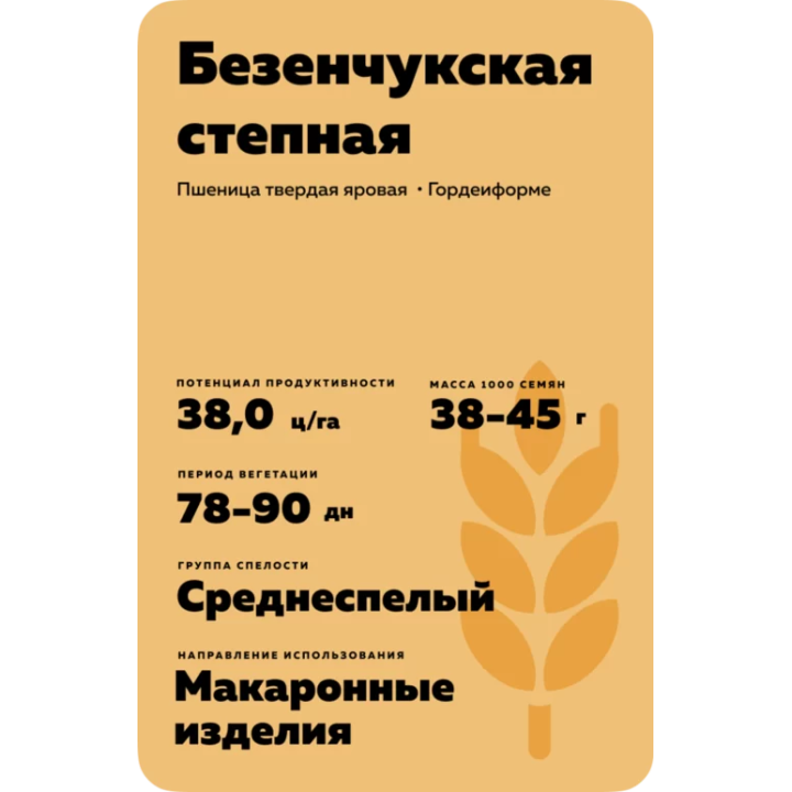 БЕЗЕНЧУКСКАЯ СТЕПНАЯ