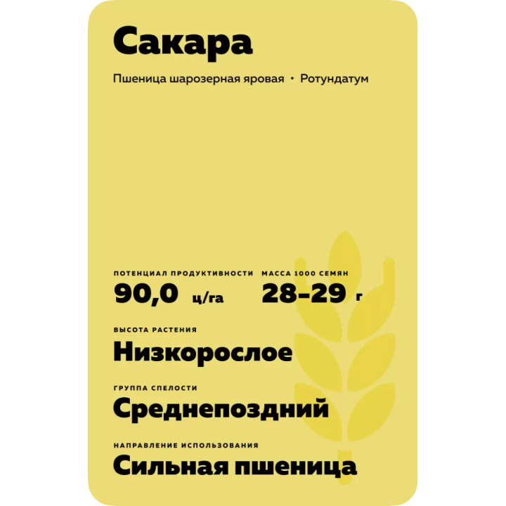 САКАРА