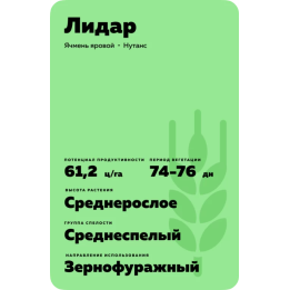 ЛИДАР