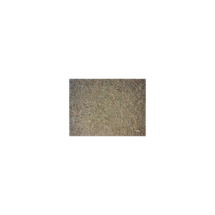 МАРЕСИ