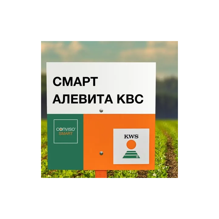 СМАРТ ЭВИТА КВС