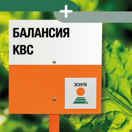 БАЛАНСИЯ КВС