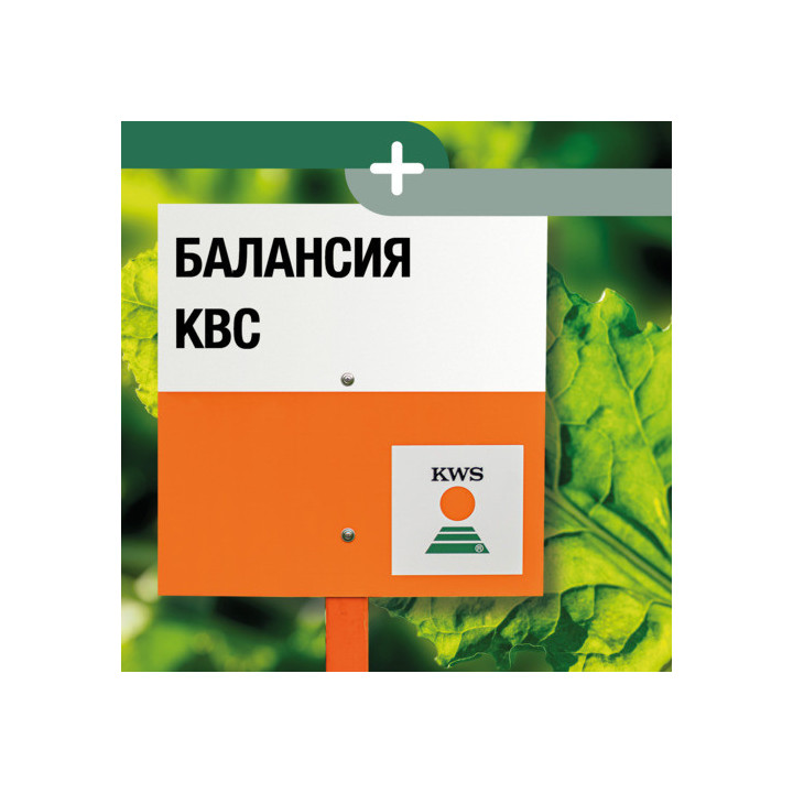 БАЛАНСИЯ КВС
