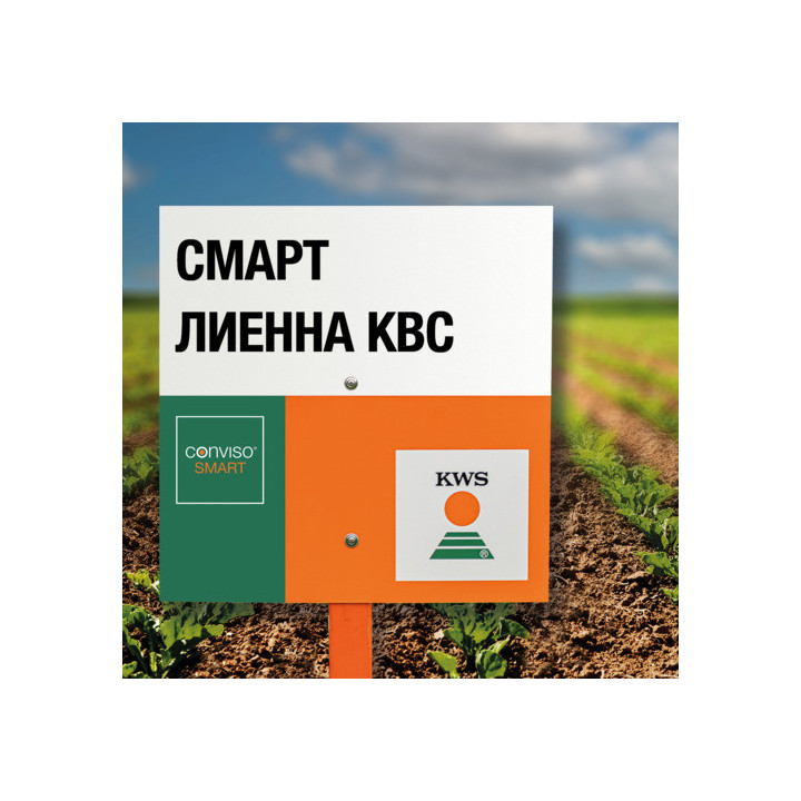 СМАРТ ЛИЕННА КВС