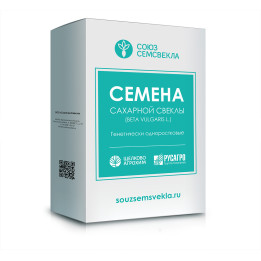 ЦУНАМИ