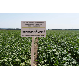 ПЕРВОМАЙСКИЙ