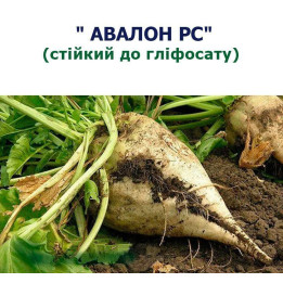 ВИТАРА