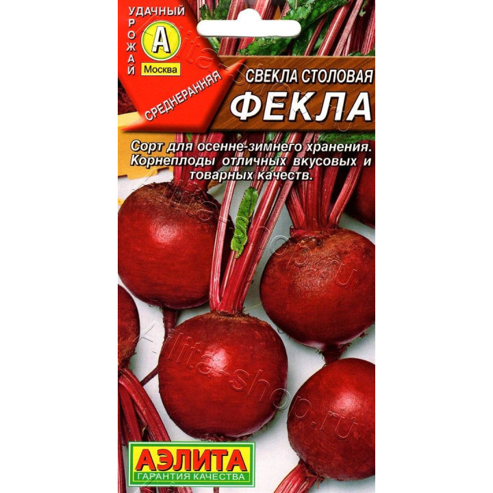 ФЕКЛА