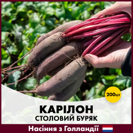 КАРИНА