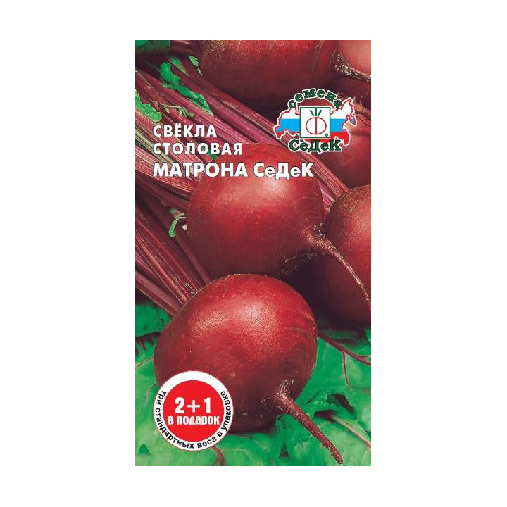 МАТРОНА СЕДЕК