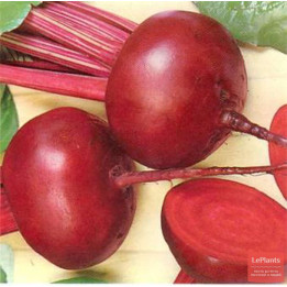 БОРДОВАЯ ВНИИО