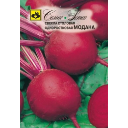 МОДАНА