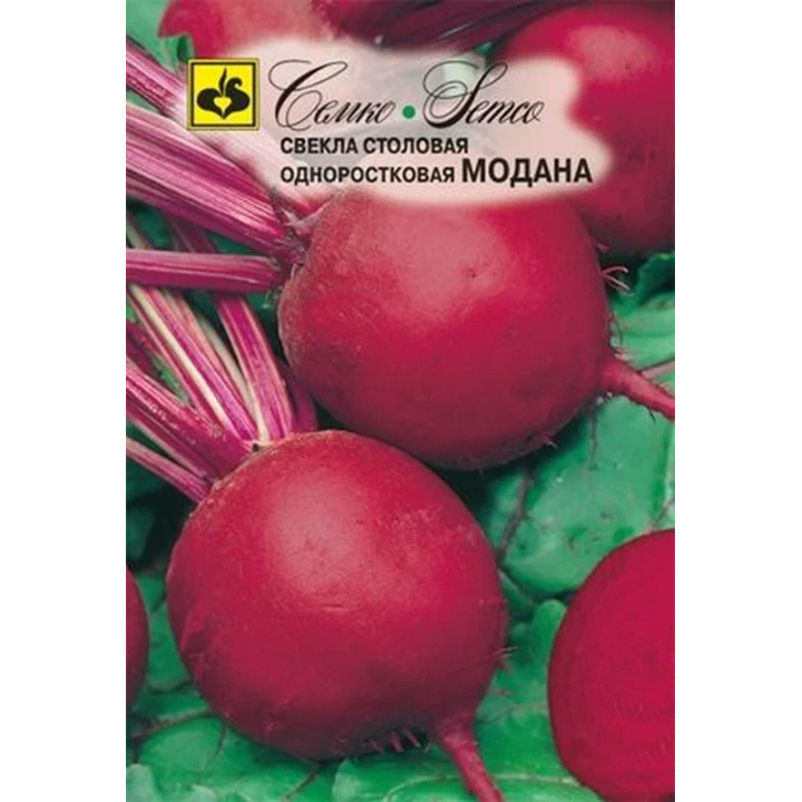 МОДАНА