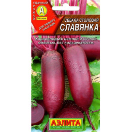 СЛАВЯНКА