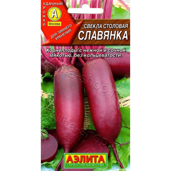 СЛАВЯНКА