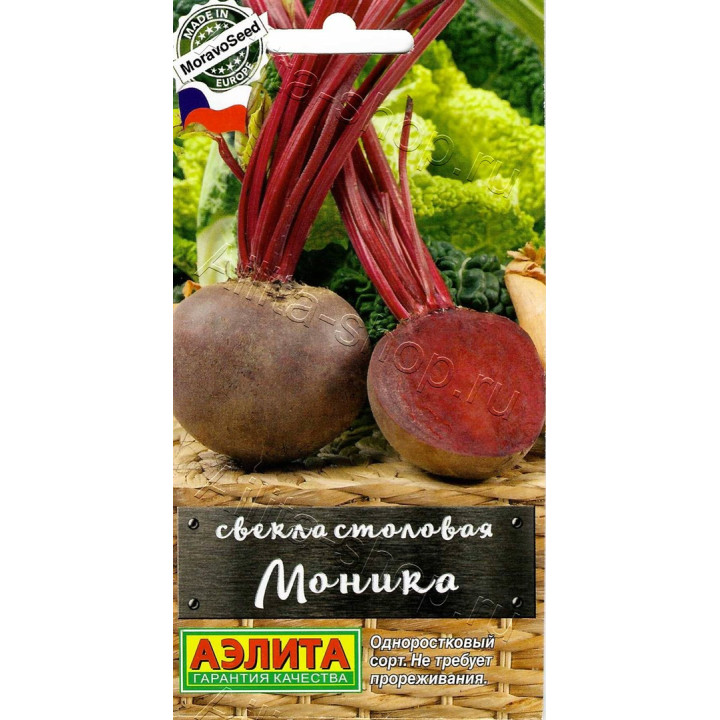 МОНИКА